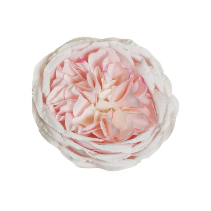 PICK ROSA AUSTIN D10 H5 LIGHT PINK